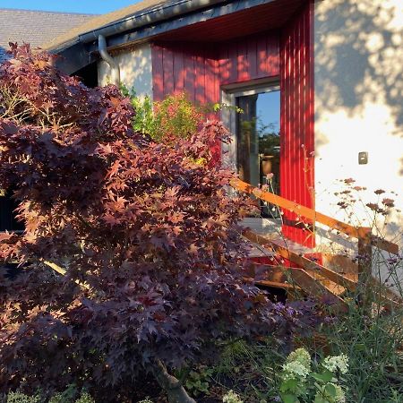 Dashausderfloristin Noertrange Exteriér fotografie